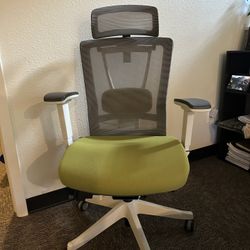 Ergo Chair Pro
