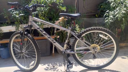 Bicicleta 🚲 color gris plateado