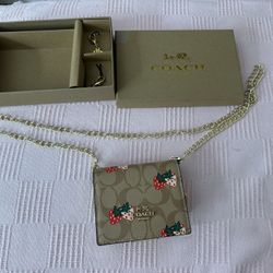 Strawberry 🍓 Wallet Bag