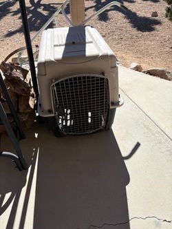 Large dog kennel