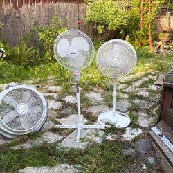 Two Oscillating Fans And One World Machine Tilt Fan