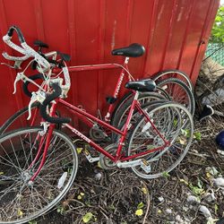 32 Inch Bike