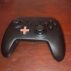 Nintendo Switch Controller 