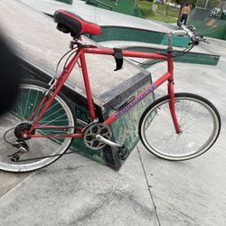 1999 Mongoose Dx 3.3