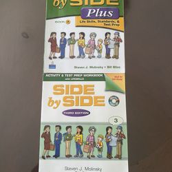 Side By Side 3