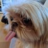 Ethel