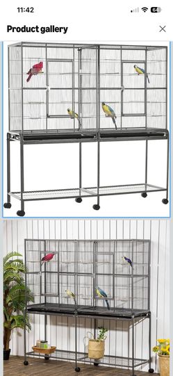 Xl Birdcage And Accessories Complete Setup