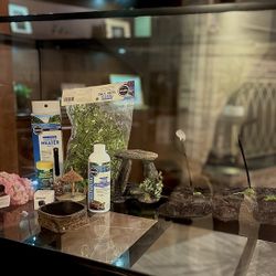 40 Gallon Aquarium 