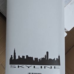 Straws 10 Boxes