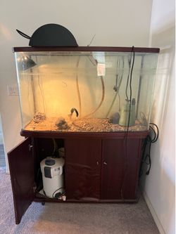 Aquarium or Terrarium