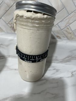 Sourdough Starter