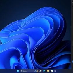 Window 11 Install for all computers. Window activated lifetime warranty. 