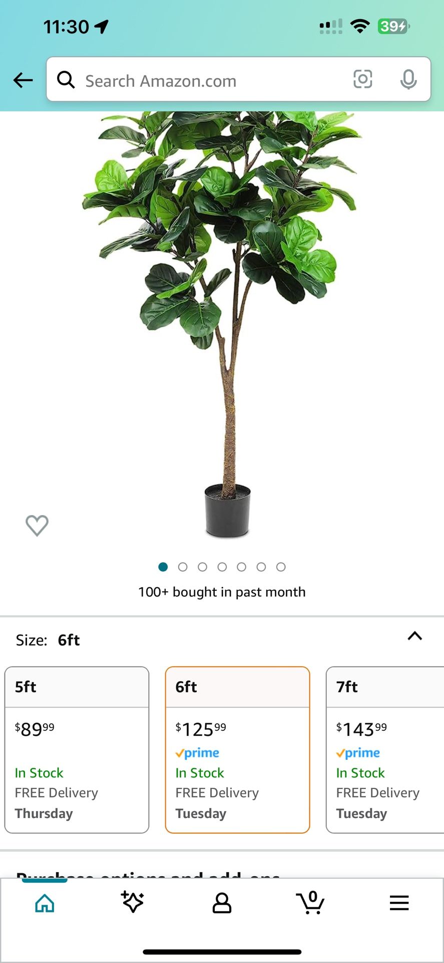 Faux Fiddle Tree