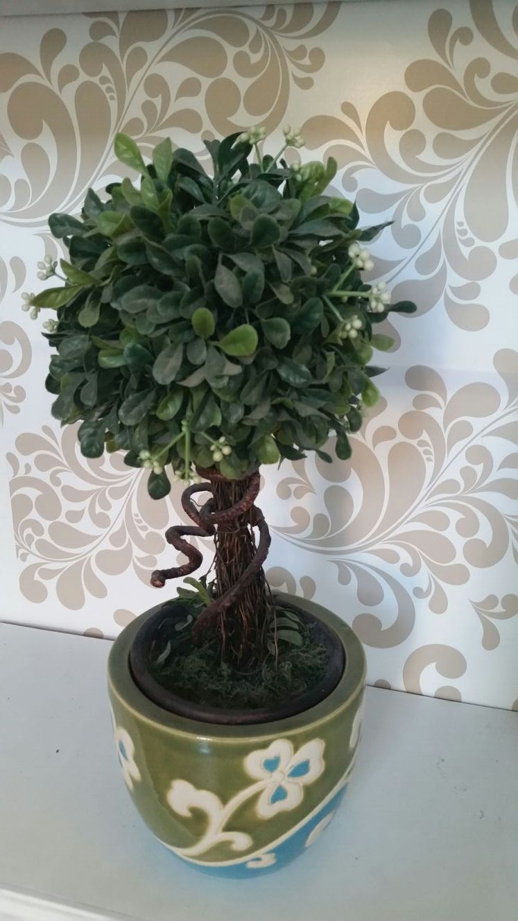 Small topiary