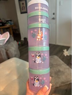 Bluey snack containers
