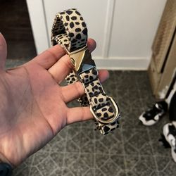 Dog Collar
