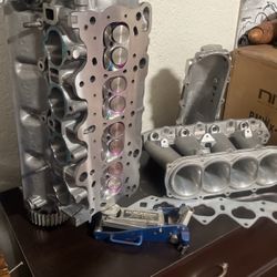 B16 Head