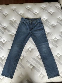 levis 541