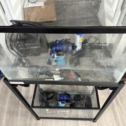10 Gallon Fish Tanks
