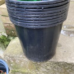 Plant Pots No Holes