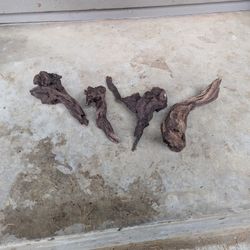 Hardscape And 40 Gallon Breeder