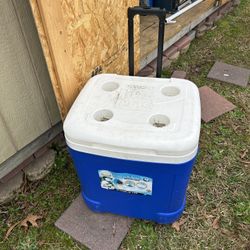 Igloo Cooler