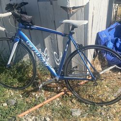 Speacilized Speed Bike