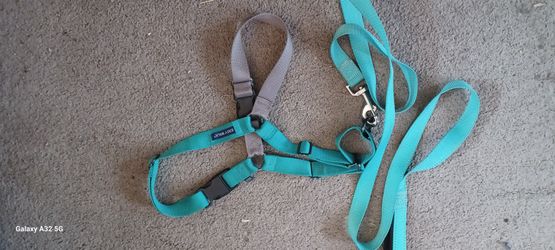 Easy Walk Harness XL With Leash