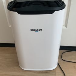 Okaysou AirMax8L Room Air Filter