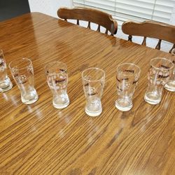 8 PILSENER ESPECIAL EDITION GLASSES