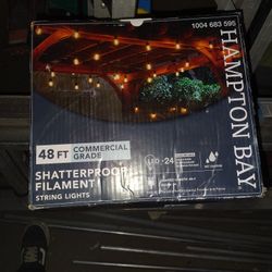 Hampton Bay 24 ft. Black Commercial Grade String Lights 12  Bulbs