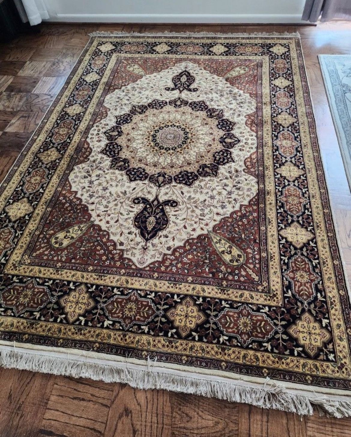 Gorgeous 6 x 9 Hand Knotted Indian Jaipur Wool Area Rug.