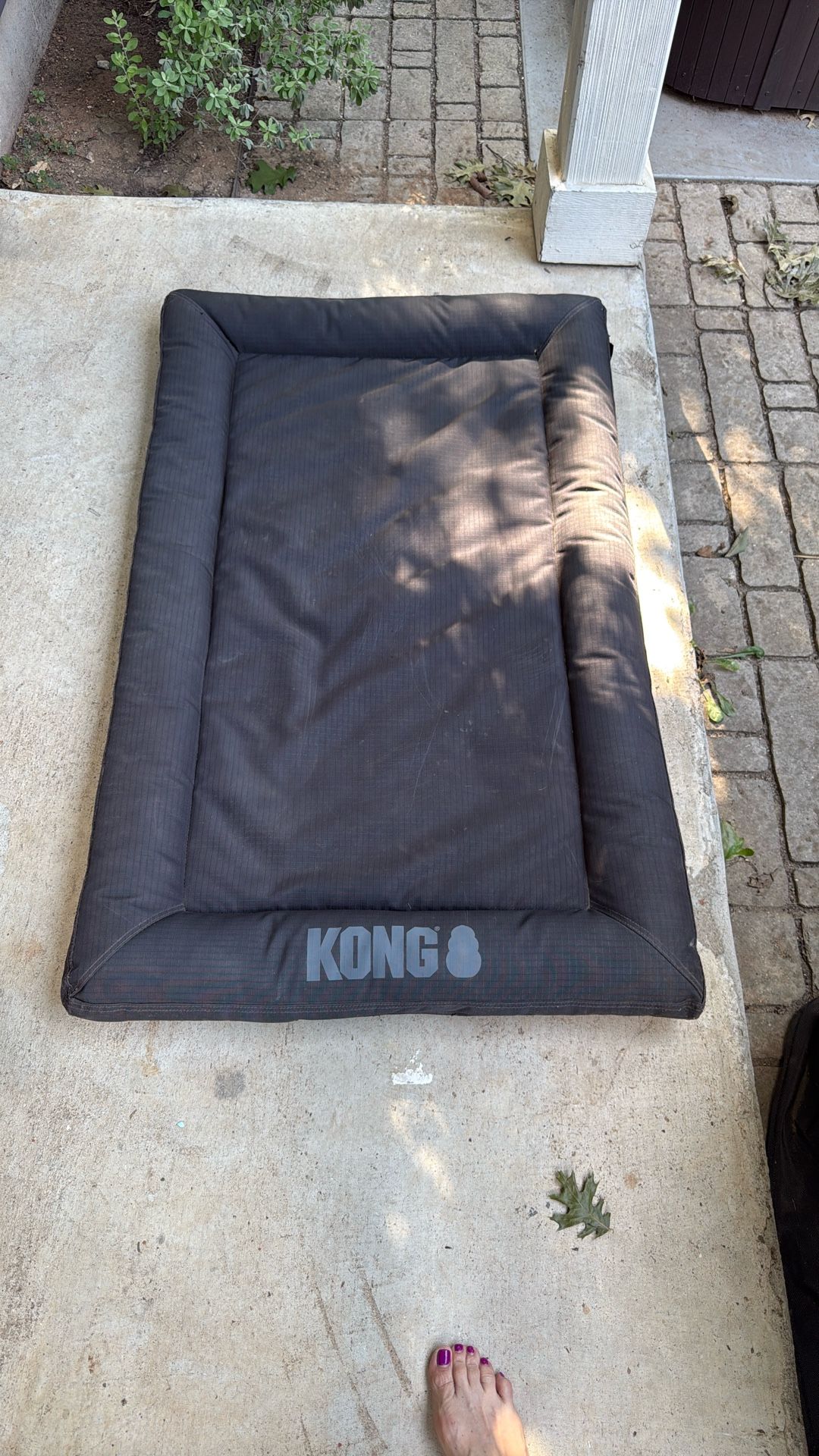 Kong orthopedic crate bed