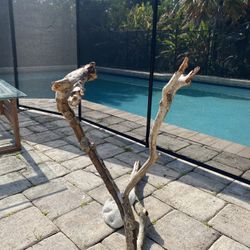 Driftwood-medium Sized