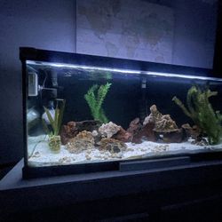 75 gallon aquarium with Stand ,filter and light