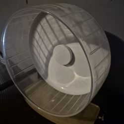 10 Inch Hamster Wheel 20$