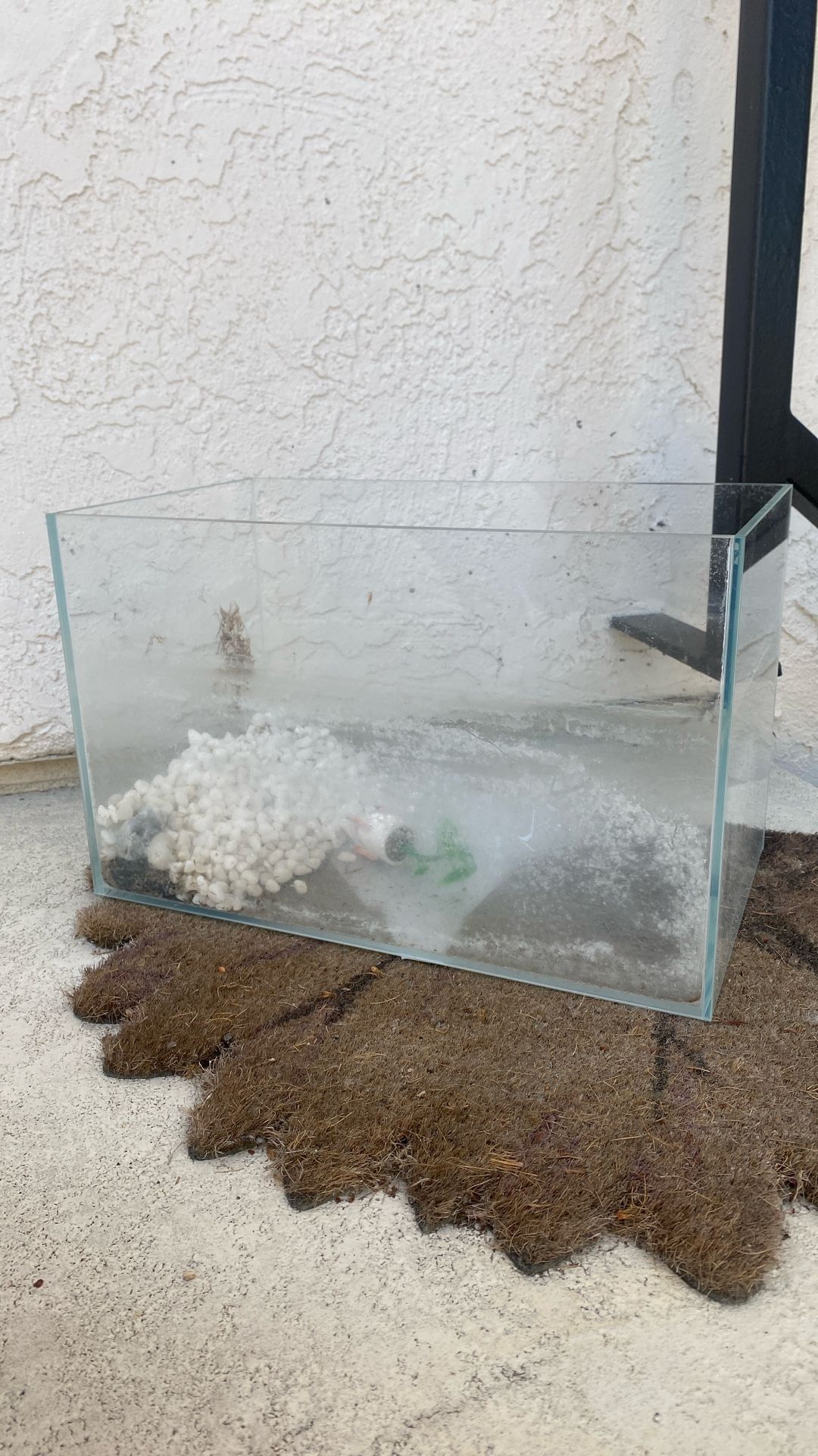 Fish Tank + Accessories