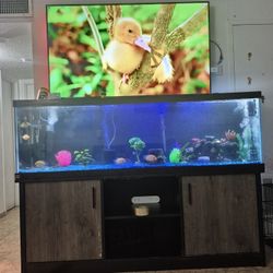 Fish Tank And Stand 