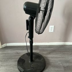 Rotating Fan With Remote