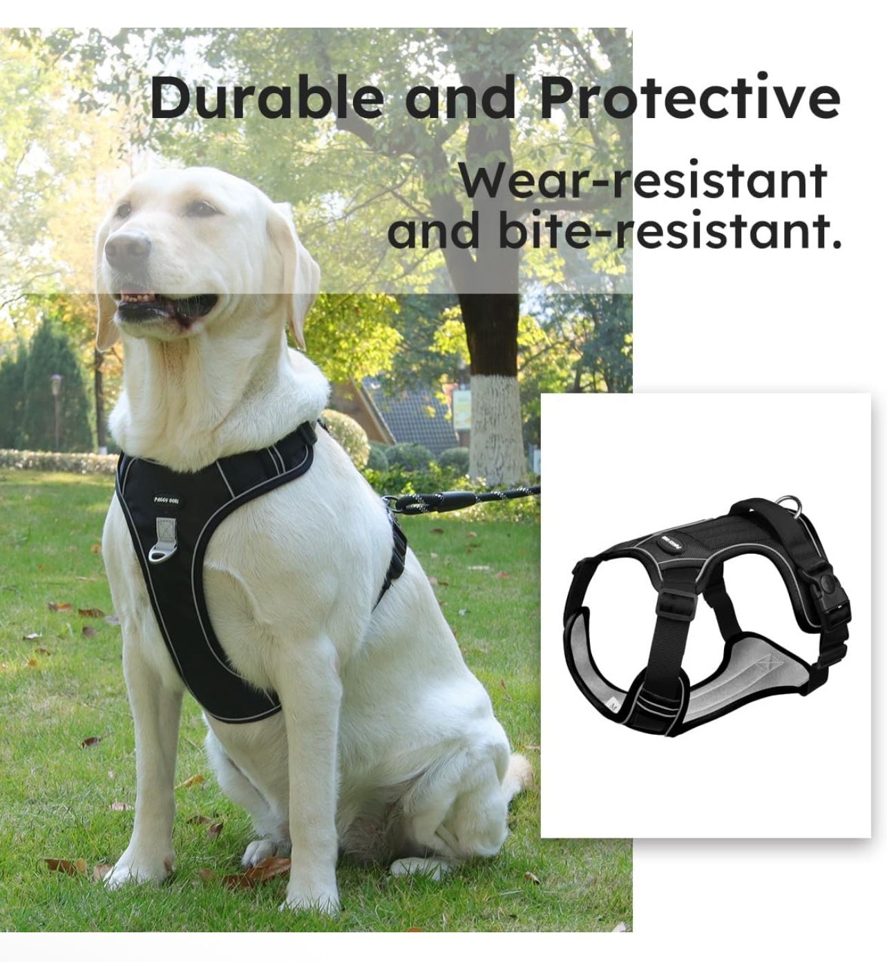 Adjustable Oxford Dog Harness No Pull and Leash Set