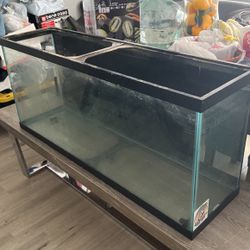 55 Gallon Fish tank & Accessories 
