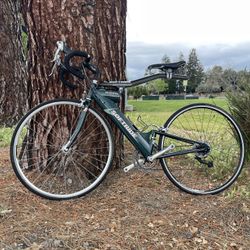 Softride RoadWing Bicycle