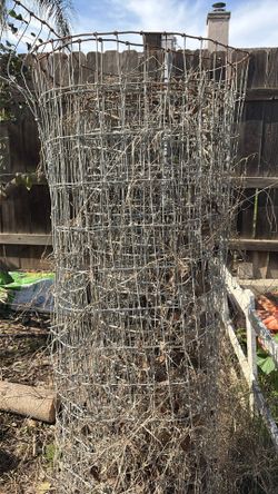 Pet Wire 5 Feet Wide By Approx 15