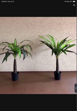 One New Heavy Faux Artificial Palm Tree 49wX49h (100 each)