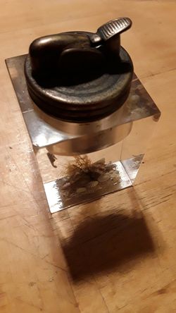 coffee table lighter 40's