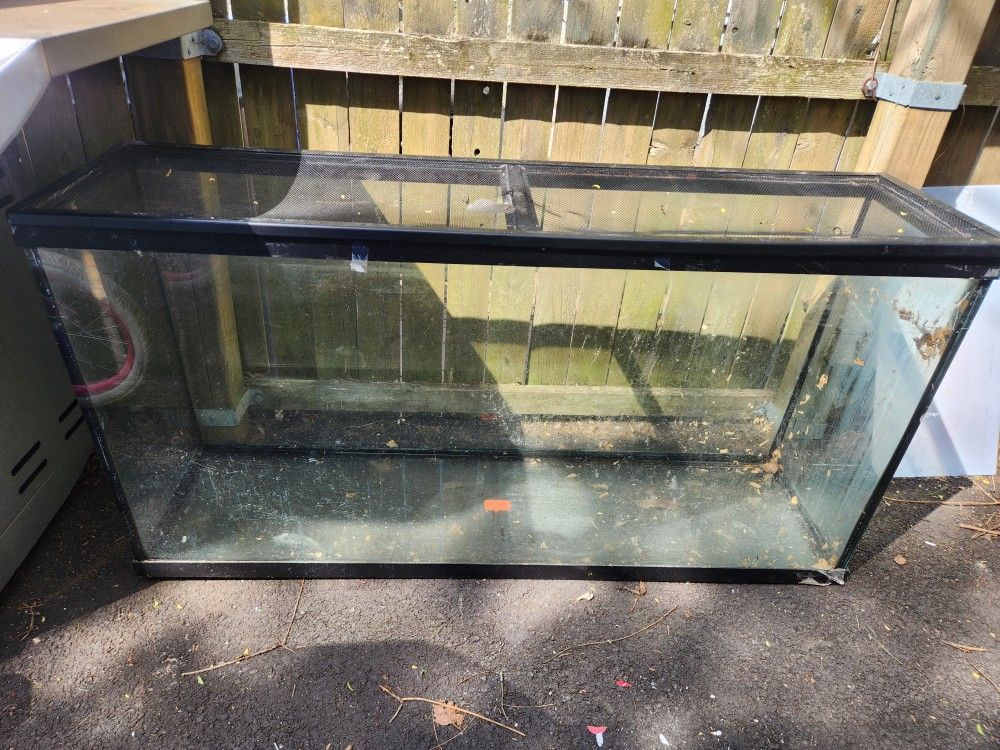 60 Gallon Tank