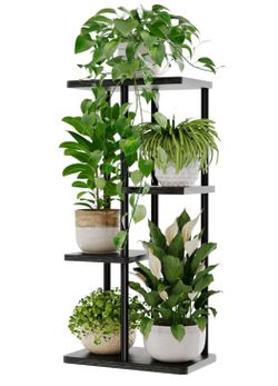 Plant stand indoor