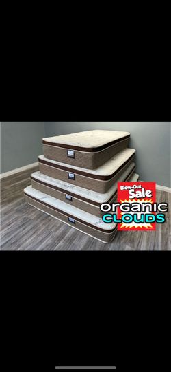 Queen Organic Cloud Edition Europillow Top 12inch Matres!