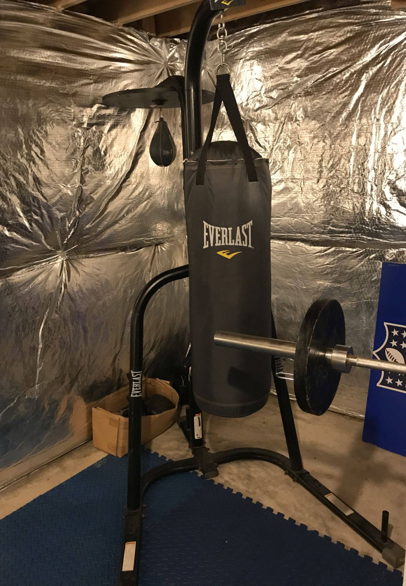Everlast speed and punching bag /weirder pro 800 weights lifting bench also extra weights also pro weight lifting bar