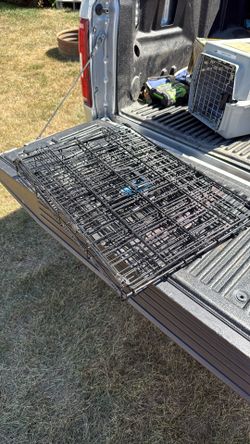 Fold Up Dog Crate